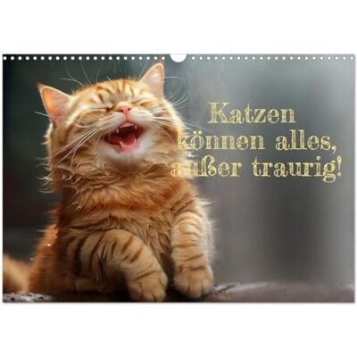 CALVENDO Katzen können alles, außer traurig. (Wandkalender 2026 DIN A3 quer), Monatskalender: Katzen sind unsere Freunde in allen Lebenslagen. ( Spass) CALVENDO Katzen können alles, außer traurig. (Wandkalender 2026 DIN A3 quer), Monatskalender: Katzen sind unsere Freunde in allen Lebenslagen. ( Spass)