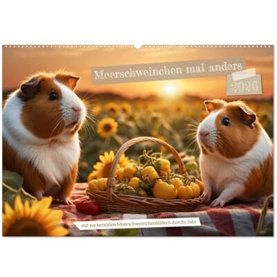 CALVENDO Meerschweinchen mal anders! (Wandkalender 2026 DIN A2 quer), Monatskalender: Mit zuckersüßen Meerschweinchenbildern durchs Jahr. ( Tiere) CALVENDO Meerschweinchen mal anders! (Wandkalender 2026 DIN A2 quer), Monatskalender: Mit zuckersüßen Meerschweinchenbildern durchs Jahr. ( Tiere)