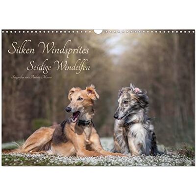 CALVENDO Silken Windsprites Seidige Windelfen (Wandkalender 2026 DIN A3 quer), Monatskalender: Ein Kalender mit 13 liebevollen Fotografien dieser eleganten Windhundrasse. ( Tiere) CALVENDO Silken Windsprites Seidige Windelfen (Wandkalender 2026 DIN A3 quer), Monatskalender: Ein Kalender mit 13 liebevollen Fotografien dieser eleganten Windhundrasse. ( Tiere)