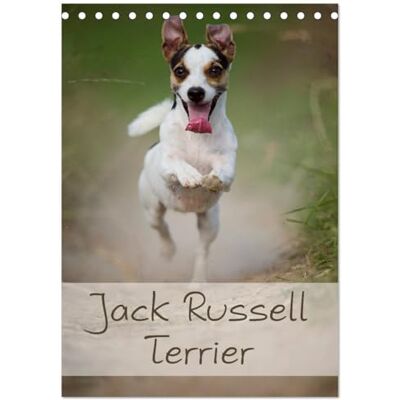 CALVENDO Jack Russell Terrier (Tischkalender 2026 DIN A5 hoch), Monatskalender: Ein schöner Kalender rund um den Jack Russell Terrier ( Tiere) CALVENDO Jack Russell Terrier (Tischkalender 2026 DIN A5 hoch), Monatskalender: Ein schöner Kalender rund um den Jack Russell Terrier ( Tiere)