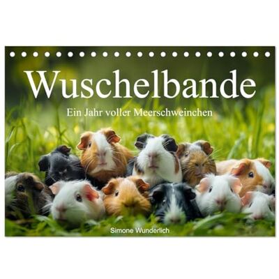 CALVENDO Wuschelbande Ein Jahr voller Meerschweinchen (Tischkalender 2026 DIN A5 quer), Monatskalender: Der ultimative Meerschweinchen Kalender! Hol ihn dir! ( Tiere) CALVENDO Wuschelbande Ein Jahr voller Meerschweinchen (Tischkalender 2026 DIN A5 quer), Monatskalender: Der ultimative Meerschweinchen Kalender! Hol ihn dir! ( Tiere)
