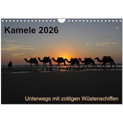 CALVENDO Kamele 2026 Unterwegs mit zottigen Wüstenschiffen (Wandkalender 2026 DIN A4 quer), Monatskalender: Dieser Kalender nimmt sie mit auf ein ... marokkanischen Atlantikküste ( Orte) CALVENDO Kamele 2026 Unterwegs mit zottigen Wüstenschiffen (Wandkalender 2026 DIN A4 quer), Monatskalender: Dieser Kalender nimmt sie mit auf ein ... marokkanischen Atlantikküste ( Orte)