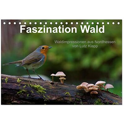 CALVENDO Faszination Wald. Waldimpressionen aus Nordhessen von Lutz Klapp (Tischkalender 2026 DIN A5 quer), Monatskalender: Waldimpessionen aus Nordhessen. ( Natur) CALVENDO Faszination Wald. Waldimpressionen aus Nordhessen von Lutz Klapp (Tischkalender 2026 DIN A5 quer), Monatskalender: Waldimpessionen aus Nordhessen. ( Natur)
