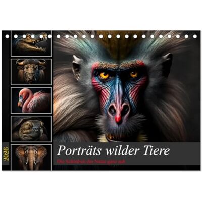 CALVENDO Porträts wilder Tiere (Tischkalender 2026 DIN A5 quer), Monatskalender: Spektakuläre Bilder wunderschöner wilder Tiere ( Kunst) CALVENDO Porträts wilder Tiere (Tischkalender 2026 DIN A5 quer), Monatskalender: Spektakuläre Bilder wunderschöner wilder Tiere ( Kunst)