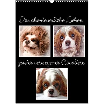 CALVENDO Das abenteuerliche Leben zweier verwegener Cavaliere (Wandkalender 2026 DIN A3 hoch), Monatskalender: Ein Cavalier King Charles Abenteuer Buch ( Tiere) CALVENDO Das abenteuerliche Leben zweier verwegener Cavaliere (Wandkalender 2026 DIN A3 hoch), Monatskalender: Ein Cavalier King Charles Abenteuer Buch ( Tiere)