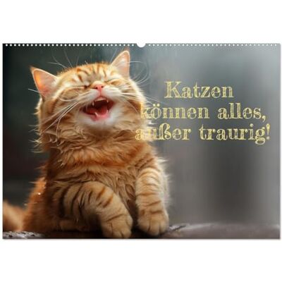 CALVENDO Katzen können alles, außer traurig. (Wandkalender 2026 DIN A2 quer), Monatskalender: Katzen sind unsere Freunde in allen Lebenslagen. ( Spass) CALVENDO Katzen können alles, außer traurig. (Wandkalender 2026 DIN A2 quer), Monatskalender: Katzen sind unsere Freunde in allen Lebenslagen. ( Spass)