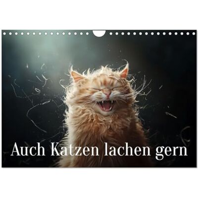 CALVENDO Auch Katzen lachen gern (Wandkalender 2026 DIN A4 quer), Monatskalender: Wenn Katzen lachen, bleibt kein Auge trocken ( Tiere) CALVENDO Auch Katzen lachen gern (Wandkalender 2026 DIN A4 quer), Monatskalender: Wenn Katzen lachen, bleibt kein Auge trocken ( Tiere)