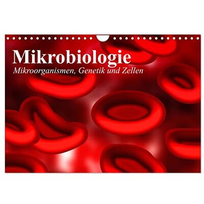 CALVENDO Mikrobiologie. Mikroorganismen, Genetik und Zellen (Wandkalender 2026 DIN A4 quer), Monatskalender: Interessante Bilder von Bakterien, Zellen und Blutkörperchen ( Gesundheit) CALVENDO Mikrobiologie. Mikroorganismen, Genetik und Zellen (Wandkalender 2026 DIN A4 quer), Monatskalender: Interessante Bilder von Bakterien, Zellen und Blutkörperchen ( Gesundheit)