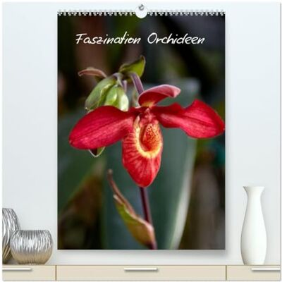 CALVENDO Faszination Orchideen (hochwertiger Premium Wandkalender 2026 DIN A2 hoch), Kunstdruck in Hochglanz: Der Kalender für den Orchideen-Liebhaber ( Natur) CALVENDO Faszination Orchideen (hochwertiger Premium Wandkalender 2026 DIN A2 hoch), Kunstdruck in Hochglanz: Der Kalender für den Orchideen-Liebhaber ( Natur)