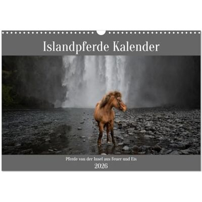 CALVENDO Islandpferde Kalender Pferde von der Insel aus Feuer und Eis (Wandkalender 2026 DIN A3 quer), Monatskalender: Islandpferde in ihrer natürlichen Umgebung ( Tiere) CALVENDO Islandpferde Kalender Pferde von der Insel aus Feuer und Eis (Wandkalender 2026 DIN A3 quer), Monatskalender: Islandpferde in ihrer natürlichen Umgebung ( Tiere)
