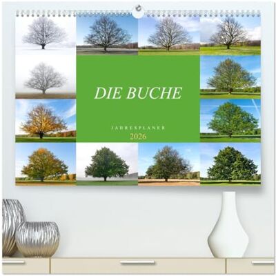 CALVENDO Die Buche: Jahresplaner 2026 (hochwertiger Premium Wandkalender 2026 DIN A2 quer), Kunstdruck in Hochglanz: Vier Jahreszeiten der Rotbuche ( Natur) CALVENDO Die Buche: Jahresplaner 2026 (hochwertiger Premium Wandkalender 2026 DIN A2 quer), Kunstdruck in Hochglanz: Vier Jahreszeiten der Rotbuche ( Natur)