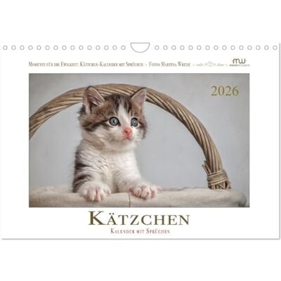 CALVENDO Kätzchen-Kalender mit Sprüchen (Wandkalender 2026 DIN A4 quer), Monatskalender: Wundervolle Katzenfotografien, kombiniert mit Sprüchen, begleiten Sie durch das Jahr ( Tiere) CALVENDO Kätzchen-Kalender mit Sprüchen (Wandkalender 2026 DIN A4 quer), Monatskalender: Wundervolle Katzenfotografien, kombiniert mit Sprüchen, begleiten Sie durch das Jahr ( Tiere)