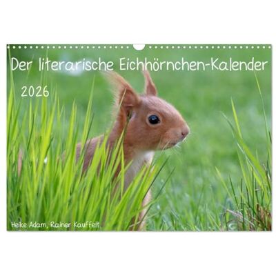 CALVENDO Der literarische Eichhörnchen-Kalender (Wandkalender 2026 DIN A3 quer), Monatskalender: Positive Sprüche mit passenden Fotos von Eichhörnchen. ( Tiere) CALVENDO Der literarische Eichhörnchen-Kalender (Wandkalender 2026 DIN A3 quer), Monatskalender: Positive Sprüche mit passenden Fotos von Eichhörnchen. ( Tiere)