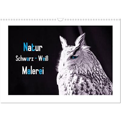 CALVENDO Natur schwarz weiß Malerei (Wandkalender 2026 DIN A3 quer), Monatskalender: Die Natur malt die schönsten Farben schwarz weiß Kalender mit Farbtupfern ( Kunst) CALVENDO Natur schwarz weiß Malerei (Wandkalender 2026 DIN A3 quer), Monatskalender: Die Natur malt die schönsten Farben schwarz weiß Kalender mit Farbtupfern ( Kunst)