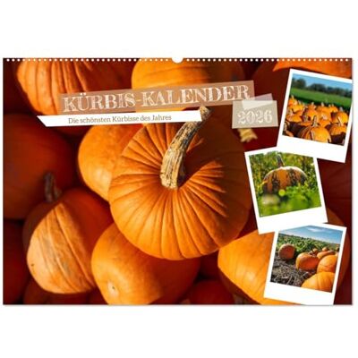 CALVENDO KÜRBIS KALENDER Die schönsten Kürbisse des Jahres (Wandkalender 2026 DIN A2 quer), Monatskalender: Ein Kalender, der die Schönheit und ... Herbstes und der Erntezeit. ( Orte) CALVENDO KÜRBIS KALENDER Die schönsten Kürbisse des Jahres (Wandkalender 2026 DIN A2 quer), Monatskalender: Ein Kalender, der die Schönheit und ... Herbstes und der Erntezeit. ( Orte)