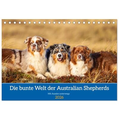 CALVENDO Mit Aussies unterwegs Die bunte Welt der Australian Shepherds (Tischkalender 2026 DIN A5 quer), Monatskalender: Ein Kalender der bunten ... in Action und im Portrait ( Tiere) CALVENDO Mit Aussies unterwegs Die bunte Welt der Australian Shepherds (Tischkalender 2026 DIN A5 quer), Monatskalender: Ein Kalender der bunten ... in Action und im Portrait ( Tiere)