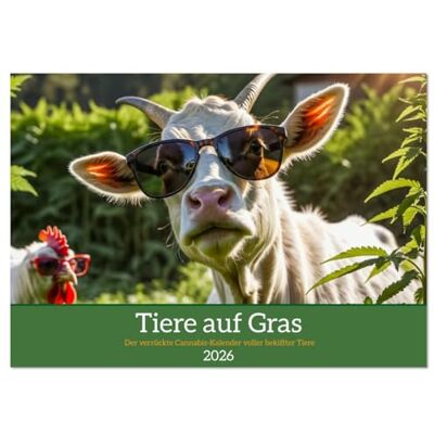 CALVENDO Tiere auf Gras Der verrückte Cannabis-Kalender voller bekiffter Tiere (Wandkalender 2026 DIN A2 quer), Monatskalender: Lustige Kiffer-Tiere ... Motiven fürs ganze Jahr. ( Tiere) CALVENDO Tiere auf Gras Der verrückte Cannabis-Kalender voller bekiffter Tiere (Wandkalender 2026 DIN A2 quer), Monatskalender: Lustige Kiffer-Tiere ... Motiven fürs ganze Jahr. ( Tiere)