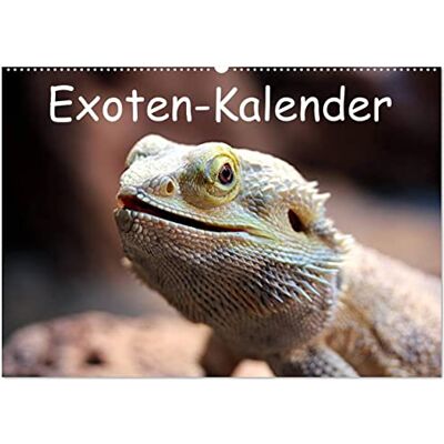 CALVENDO Exoten-Kalender (Wandkalender 2026 DIN A2 quer), Monatskalender: Exotische Tiere, ein toller Wandschmuck im Büro oder zu Hause. ( Tiere) CALVENDO Exoten-Kalender (Wandkalender 2026 DIN A2 quer), Monatskalender: Exotische Tiere, ein toller Wandschmuck im Büro oder zu Hause. ( Tiere)