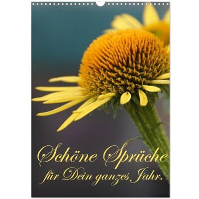 CALVENDO Schöne Sprüche für Dein ganzes Jahr (Wandkalender 2026 DIN A3 hoch), Monatskalender: Trost- und Mutmachersprüche Monat für Monat. ( Gesundheit) CALVENDO Schöne Sprüche für Dein ganzes Jahr (Wandkalender 2026 DIN A3 hoch), Monatskalender: Trost- und Mutmachersprüche Monat für Monat. ( Gesundheit)
