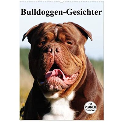 CALVENDO Bulldoggen-Gesichter (Wandkalender 2026 DIN A2 hoch), Monatskalender: Die beeindruckenden Gesichter von Bulldoggen ( Tiere) CALVENDO Bulldoggen-Gesichter (Wandkalender 2026 DIN A2 hoch), Monatskalender: Die beeindruckenden Gesichter von Bulldoggen ( Tiere)