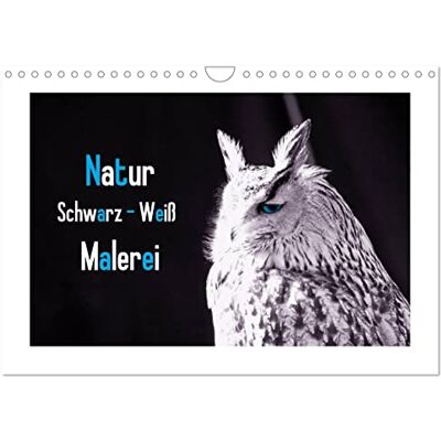 CALVENDO Natur schwarz weiß Malerei (Wandkalender 2026 DIN A4 quer), Monatskalender: Die Natur malt die schönsten Farben schwarz weiß Kalender mit Farbtupfern ( Kunst) CALVENDO Natur schwarz weiß Malerei (Wandkalender 2026 DIN A4 quer), Monatskalender: Die Natur malt die schönsten Farben schwarz weiß Kalender mit Farbtupfern ( Kunst)