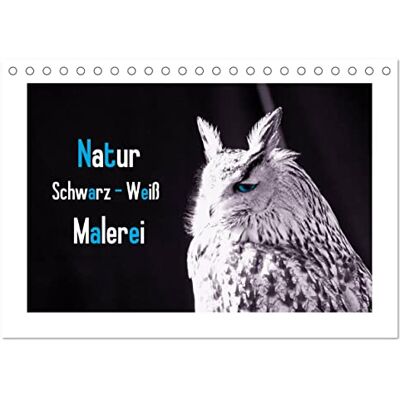 CALVENDO Natur schwarz weiß Malerei (Tischkalender 2026 DIN A5 quer), Monatskalender: Die Natur malt die schönsten Farben schwarz weiß Kalender mit Farbtupfern ( Kunst) CALVENDO Natur schwarz weiß Malerei (Tischkalender 2026 DIN A5 quer), Monatskalender: Die Natur malt die schönsten Farben schwarz weiß Kalender mit Farbtupfern ( Kunst)