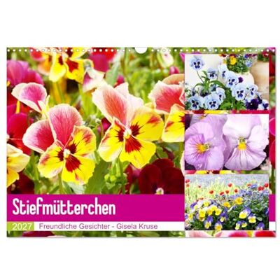 CALVENDO Kalender 2027 · Stiefmütterchen Freundliche Gesichter Fröhlich stimmende Gesichter von Stiefmütterchen und Hornveilchen · DIN A3 quer · Wandkalender CALVENDO Kalender 2027 · Stiefmütterchen Freundliche Gesichter Fröhlich stimmende Gesichter von Stiefmütterchen und Hornveilchen · DIN A3 quer · Wandkalender