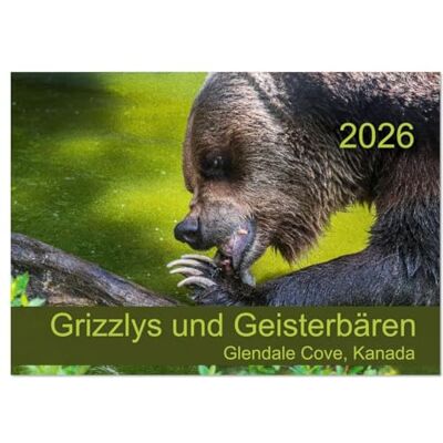 CALVENDO Grizzlys und Geisterbären Glendale Cove, Kanada (Wandkalender 2026 DIN A2 quer), Monatskalender: Der Kalender zeigt beeindruckende Grizzly- ... künstlerischer Fotokunst. ( Natur) CALVENDO Grizzlys und Geisterbären Glendale Cove, Kanada (Wandkalender 2026 DIN A2 quer), Monatskalender: Der Kalender zeigt beeindruckende Grizzly- ... künstlerischer Fotokunst. ( Natur)
