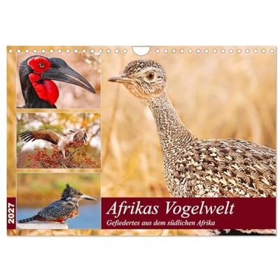 CALVENDO Kalender 2027 · Afrikas Vogelwelt 2027 Gefiedertes aus dem südlichen Afrika · DIN A4 quer · Wandkalender CALVENDO Kalender 2027 · Afrikas Vogelwelt 2027 Gefiedertes aus dem südlichen Afrika · DIN A4 quer · Wandkalender