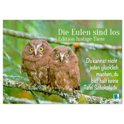 CALVENDO Die Eulen sind los: Edition lustige Tiere (Wandkalender 2026 DIN A2 quer), Monatskalender: Spaß mit Eule, Uhu und Kauz und mit flotten Sprüchen und viel Humor ( Spass) CALVENDO Die Eulen sind los: Edition lustige Tiere (Wandkalender 2026 DIN A2 quer), Monatskalender: Spaß mit Eule, Uhu und Kauz und mit flotten Sprüchen und viel Humor ( Spass)