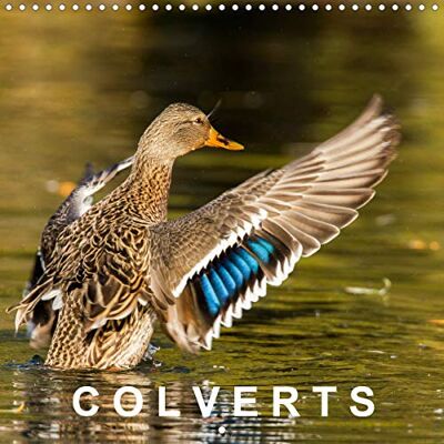CALVENDO COLVERTS (Calendrier mural 2020 300 × 300 mm Square): 13 portraits colorés de canards colverts. (Calendrier mensuel, 14 Pages ) ( Animaux) CALVENDO COLVERTS (Calendrier mural 2020 300 × 300 mm Square): 13 portraits colorés de canards colverts. (Calendrier mensuel, 14 Pages ) ( Animaux)