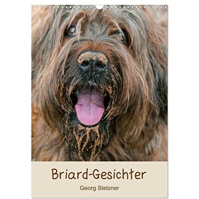 CALVENDO Kalender 2027 · Briard-Gesichter Momentaufnahmen auf Augenhöhe · DIN A3 hoch · Wandkalender CALVENDO Kalender 2027 · Briard-Gesichter Momentaufnahmen auf Augenhöhe · DIN A3 hoch · Wandkalender