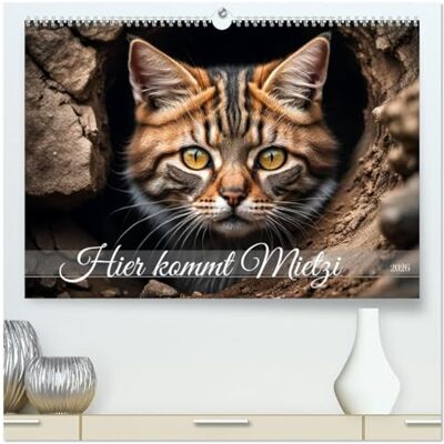 CALVENDO Hier kommt Mietzi (hochwertiger Premium Wandkalender 2026 DIN A2 quer), Kunstdruck in Hochglanz: Ein Kalender mit frechen Katzen, jeden Monat neu! ( Tiere) CALVENDO Hier kommt Mietzi (hochwertiger Premium Wandkalender 2026 DIN A2 quer), Kunstdruck in Hochglanz: Ein Kalender mit frechen Katzen, jeden Monat neu! ( Tiere)