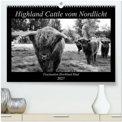 CALVENDO Kalender 2027 · Highland Cattle vom Nordlicht Faszination Hochland Rind Schwarz-Weißer Einblick in das Leben einer Herde · DIN A2 quer · Premium Wandkalender CALVENDO Kalender 2027 · Highland Cattle vom Nordlicht Faszination Hochland Rind Schwarz-Weißer Einblick in das Leben einer Herde · DIN A2 quer · Premium Wandkalender