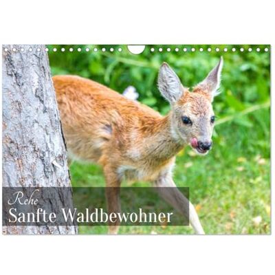 CALVENDO Rehe Sanfte Waldbewohner (Wandkalender 2026 DIN A4 quer), Monatskalender: Ein Kalender, der die stille Schönheit der Rehe durch das Jahr einfängt. ( Tiere) CALVENDO Rehe Sanfte Waldbewohner (Wandkalender 2026 DIN A4 quer), Monatskalender: Ein Kalender, der die stille Schönheit der Rehe durch das Jahr einfängt. ( Tiere)