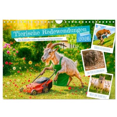 CALVENDO Tierische Redewendungen Ein Kalender voller Sprüche und Sprachbilder (Wandkalender 2026 DIN A4 quer), Monatskalender: Kalender für Sprachliebhaber und Tierfreunde mit Humor ( Spass) CALVENDO Tierische Redewendungen Ein Kalender voller Sprüche und Sprachbilder (Wandkalender 2026 DIN A4 quer), Monatskalender: Kalender für Sprachliebhaber und Tierfreunde mit Humor ( Spass)