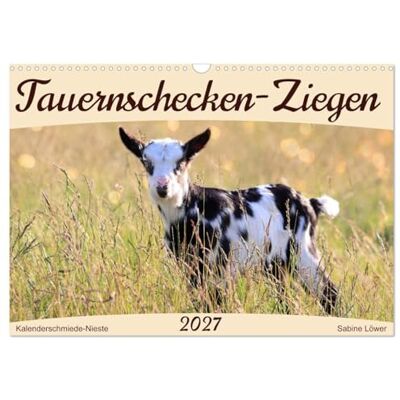 CALVENDO Kalender 2027 · Tauernschecken-Ziegen Eine Gebirgsziegenrasse aus den Hohen Tauern · DIN A3 quer · Wandkalender CALVENDO Kalender 2027 · Tauernschecken-Ziegen Eine Gebirgsziegenrasse aus den Hohen Tauern · DIN A3 quer · Wandkalender
