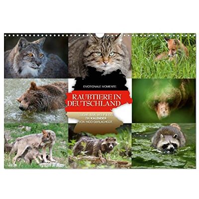 CALVENDO Emotionale Momente: Raubtiere in Deutschland (Wandkalender 2026 DIN A3 quer), Monatskalender: Aus tausenden Bildern hat der renommierte Tier- ... diesen Kalender ausgesucht. ( Tiere) CALVENDO Emotionale Momente: Raubtiere in Deutschland (Wandkalender 2026 DIN A3 quer), Monatskalender: Aus tausenden Bildern hat der renommierte Tier- ... diesen Kalender ausgesucht. ( Tiere)