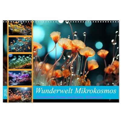 CALVENDO Wunderwelt Mikrokosmos (Wandkalender 2026 DIN A3 quer), Monatskalender: Der faszinierende Kalender mit KI generierten Fotos von mikroskopischen Wundern in leuchtenden Farben. ( Natur) CALVENDO Wunderwelt Mikrokosmos (Wandkalender 2026 DIN A3 quer), Monatskalender: Der faszinierende Kalender mit KI generierten Fotos von mikroskopischen Wundern in leuchtenden Farben. ( Natur)