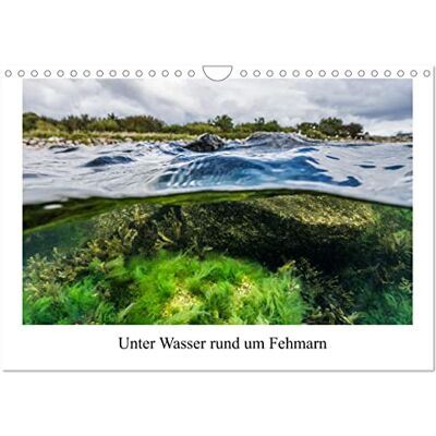 CALVENDO Unter Wasser rund um Fehmarn (Wandkalender 2026 DIN A4 quer), Monatskalender: Kalender mit 13 Bilder der Unterwasserwelt in der Ostsee rund um Fehmarn. ( Natur) CALVENDO Unter Wasser rund um Fehmarn (Wandkalender 2026 DIN A4 quer), Monatskalender: Kalender mit 13 Bilder der Unterwasserwelt in der Ostsee rund um Fehmarn. ( Natur)