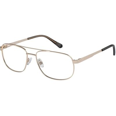 Caterpillar CTO 3030 001 Silber Brillen - Sehbrille Caterpillar CTO 3030 001 Silber Brillen - Sehbrille