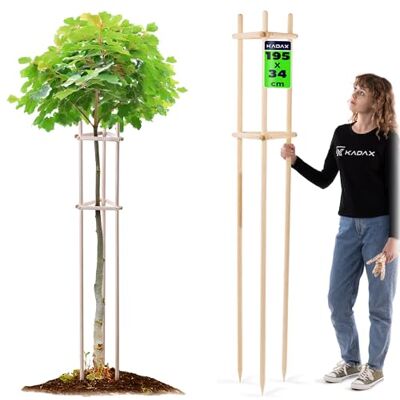 KADAX Baumstütze 195 cm aus robustem Holz, Baumpfahl zur sicheren Fixierung junger Bäume & Sträucher, dreibeinige Pflanzenstütze aus Buchenholz für Garten KADAX Baumstütze 195 cm aus robustem Holz, Baumpfahl zur sicheren Fixierung junger Bäume & Sträucher, dreibeinige Pflanzenstütze aus Buchenholz für Garten