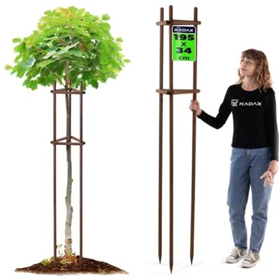 KADAX Baumstütze 195 cm aus robustem Holz, Baumpfahl zur sicheren Fixierung junger Bäume & Sträucher, dreibeinige Pflanzenstütze aus Buchenholz für Garten KADAX Baumstütze 195 cm aus robustem Holz, Baumpfahl zur sicheren Fixierung junger Bäume & Sträucher, dreibeinige Pflanzenstütze aus Buchenholz für Garten