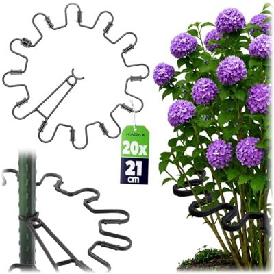 KADAX Staudenhalter Rund Ø 21 cm im 20er Set, Pflanzenhalter aus Kunststoff, Pflanzenstütze, Staudenstütze für Hortensien & Pfingstrosen, Hortensienhalter, Pflanzring (Schwarz) KADAX Staudenhalter Rund Ø 21 cm im 20er Set, Pflanzenhalter aus Kunststoff, Pflanzenstütze, Staudenstütze für Hortensien & Pfingstrosen, Hortensienhalter, Pflanzring (Schwarz)