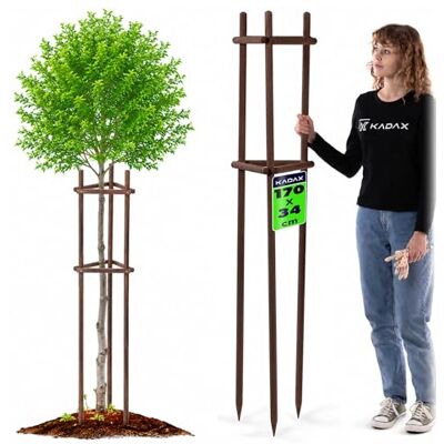 KADAX Baumstütze 170 cm aus robustem Holz, Baumpfahl zur sicheren Fixierung junger Bäume & Sträucher, dreibeinige Pflanzenstütze aus Buchenholz für Garten KADAX Baumstütze 170 cm aus robustem Holz, Baumpfahl zur sicheren Fixierung junger Bäume & Sträucher, dreibeinige Pflanzenstütze aus Buchenholz für Garten