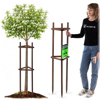 KADAX Baumstütze 130 cm aus robustem Holz, Baumpfahl zur sicheren Fixierung junger Bäume & Sträucher, dreibeinige Pflanzenstütze aus Buchenholz für Garten KADAX Baumstütze 130 cm aus robustem Holz, Baumpfahl zur sicheren Fixierung junger Bäume & Sträucher, dreibeinige Pflanzenstütze aus Buchenholz für Garten
