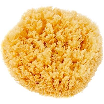 Croll & Denecke P180, Naturschwamm, Meeresschwamm Handveredelt aus dem Meer, 18 cm, Natur, 1 Stück Croll & Denecke P180, Naturschwamm, Meeresschwamm Handveredelt aus dem Meer, 18 cm, Natur, 1 Stück