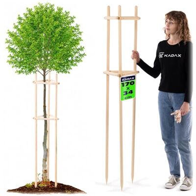 KADAX Baumstütze 170 cm aus robustem Holz, Baumpfahl zur sicheren Fixierung junger Bäume & Sträucher, dreibeinige Pflanzenstütze aus Buchenholz für Garten KADAX Baumstütze 170 cm aus robustem Holz, Baumpfahl zur sicheren Fixierung junger Bäume & Sträucher, dreibeinige Pflanzenstütze aus Buchenholz für Garten