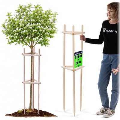 KADAX Baumstütze 130 cm aus robustem Holz, Baumpfahl zur sicheren Fixierung junger Bäume & Sträucher, dreibeinige Pflanzenstütze aus Buchenholz für Garten KADAX Baumstütze 130 cm aus robustem Holz, Baumpfahl zur sicheren Fixierung junger Bäume & Sträucher, dreibeinige Pflanzenstütze aus Buchenholz für Garten
