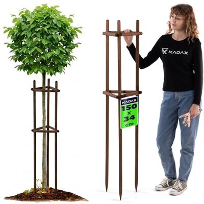 KADAX Baumstütze 150 cm aus robustem Holz, Baumpfahl zur sicheren Fixierung junger Bäume & Sträucher, dreibeinige Pflanzenstütze aus Buchenholz für Garten KADAX Baumstütze 150 cm aus robustem Holz, Baumpfahl zur sicheren Fixierung junger Bäume & Sträucher, dreibeinige Pflanzenstütze aus Buchenholz für Garten